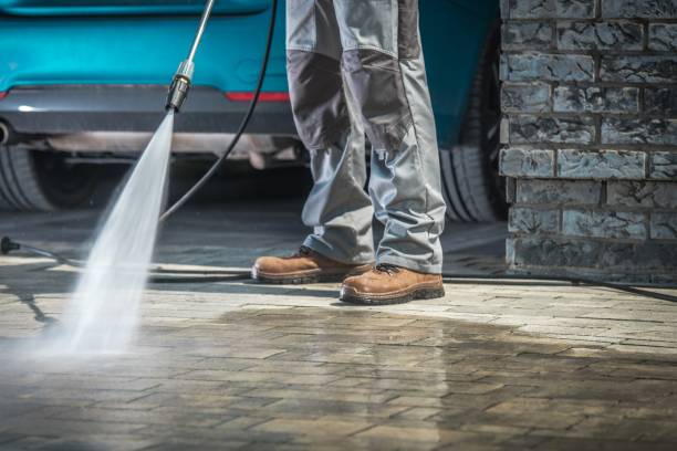 Best Driveway Pressure Washing  in Highland Lakes, AL