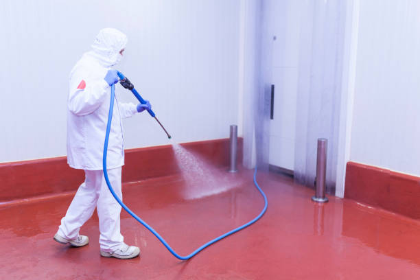 Best Sidewalk and Walkway Cleaning  in Highland Lakes, AL